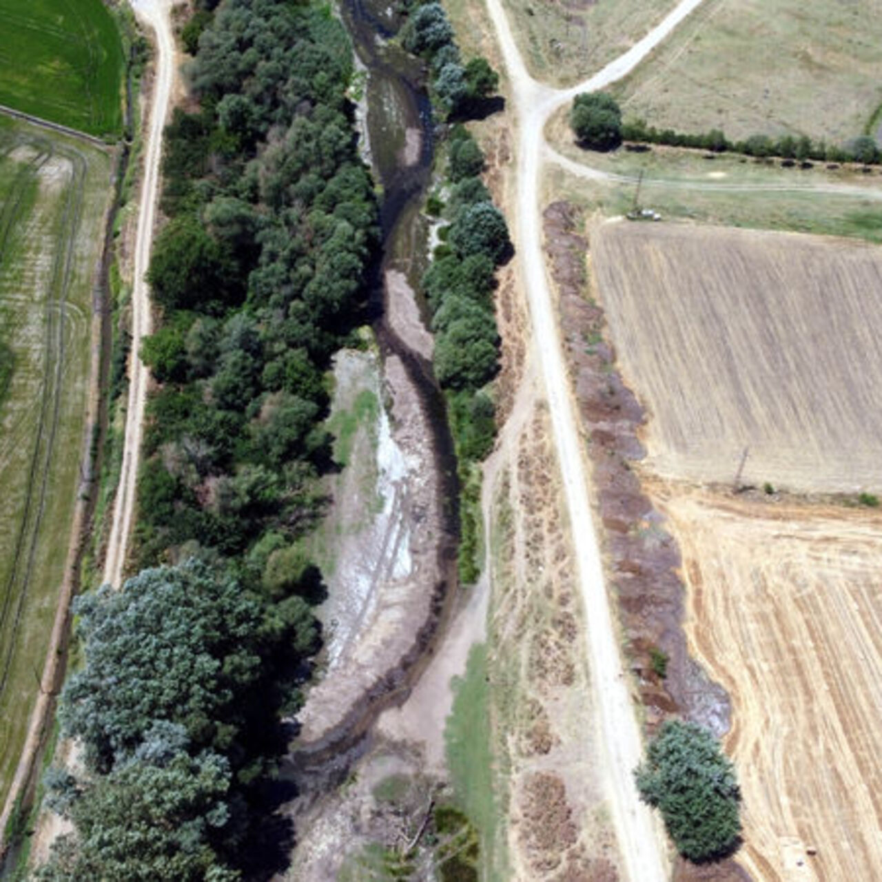 Tunca Nehri kuruma noktasında: Üretici endişeli
