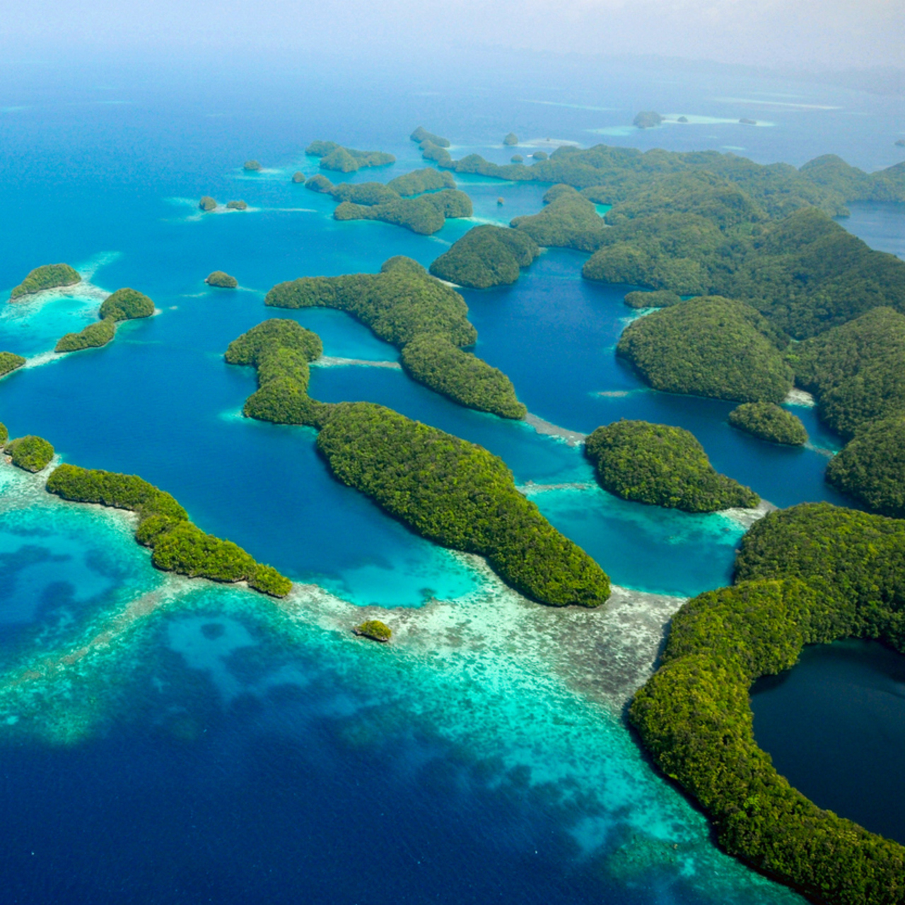 Palau telefon kodu, plaka kodu