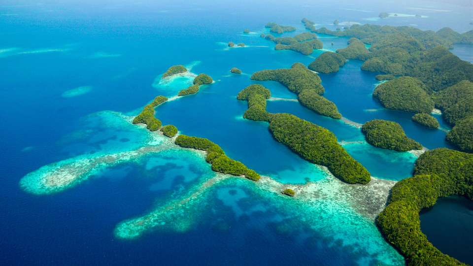 Palau telefon kodu, plaka kodu