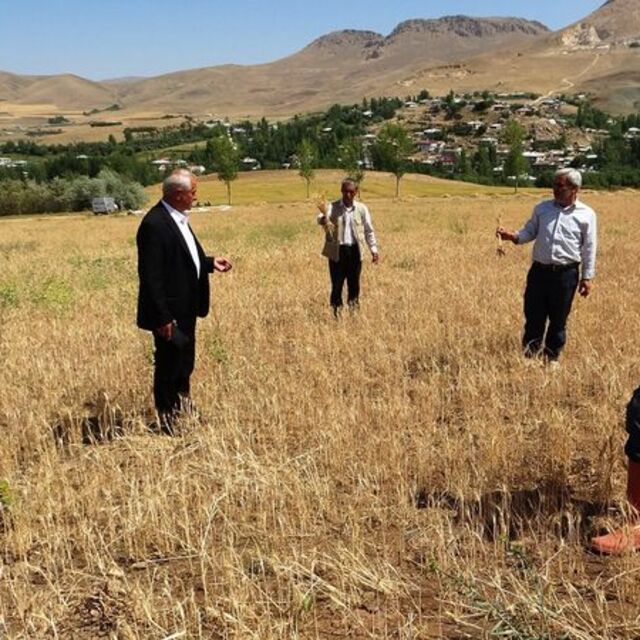İpekyolu'nda çiftçilerin "sulama göleti" isteği