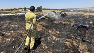 20 dekar ceviz bahçesi yangında zarar gördü