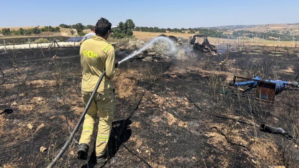20 dekar ceviz bahçesi yangında zarar gördü