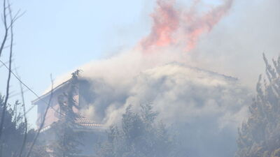 3 ilde orman yangını