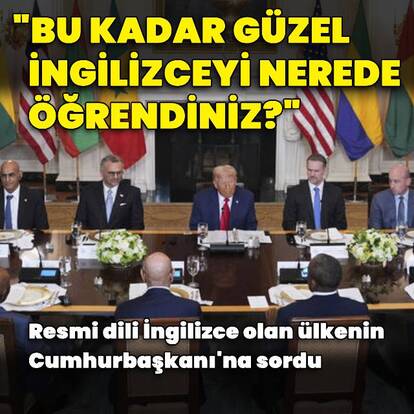 "Bu kadar iyi İngilizceyi nerede öğrendiniz?"