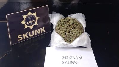 Muş'ta uyuşturucu operasyonu: 2 tutuklama