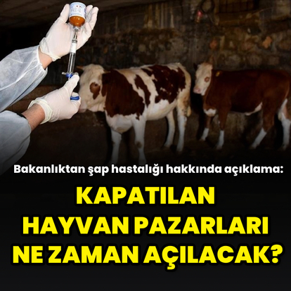 Bakanlıktan şap hastalığı hakkında açıklama