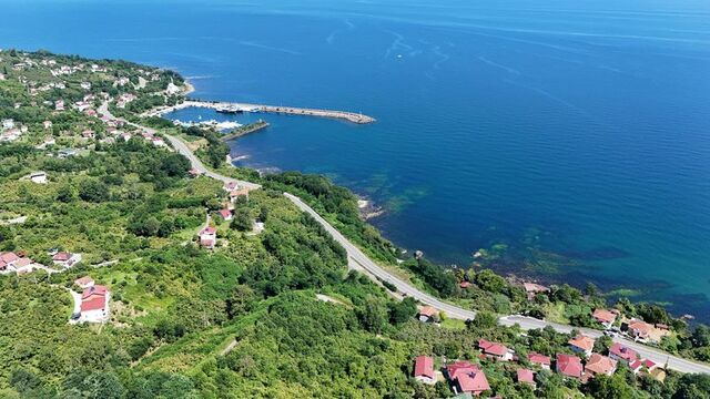 Perşembe ile Fatsa arasında hayran bırakan güzergah!