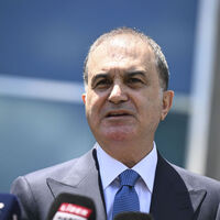 Çelik: Üç ana kategoride silahsızlanma var | Son dakika haberleri