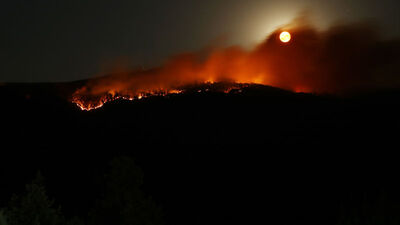 Ormanlık alanda yeniden yangın çıktı