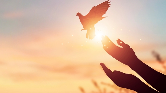 Geleceğe Armağan: 11 Temmuz 2025