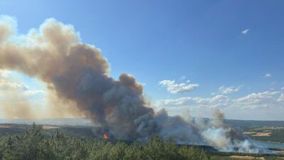 Balıkesir ve Tekirdağ'da orman yangını