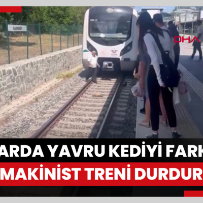 Bakırköy'de raylarda duran yavru kediyi fark eden makinist treni durdurdu