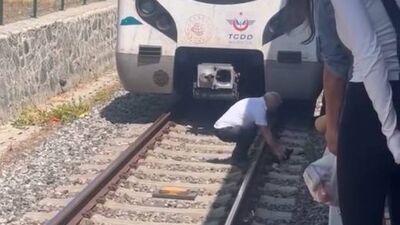 Sefer durdu! Yavru kediyi fark edince...