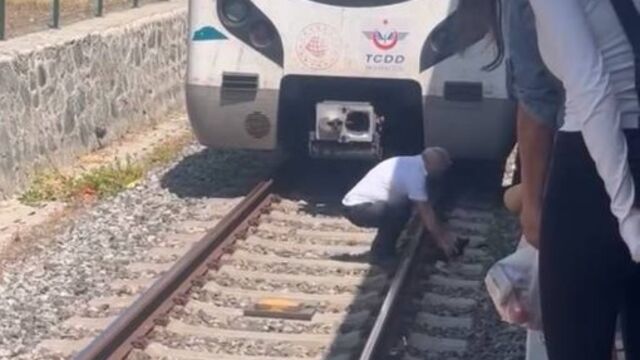 Sefer durdu! Yavru kediyi fark edince...