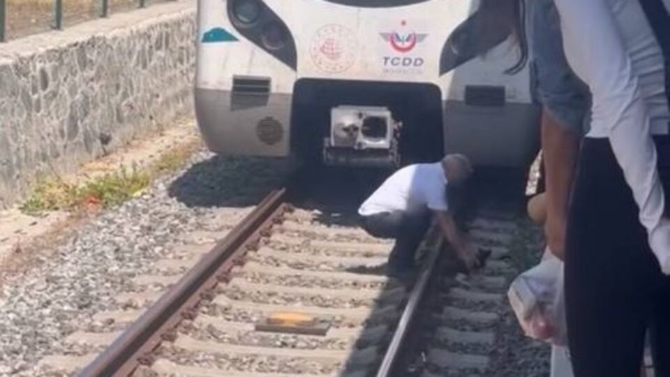 Sefer durdu! Yavru kediyi fark edince...