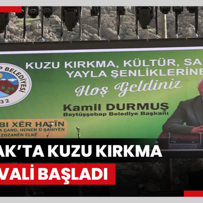 Şırnak’ta kuzu kırkma festivali başladı