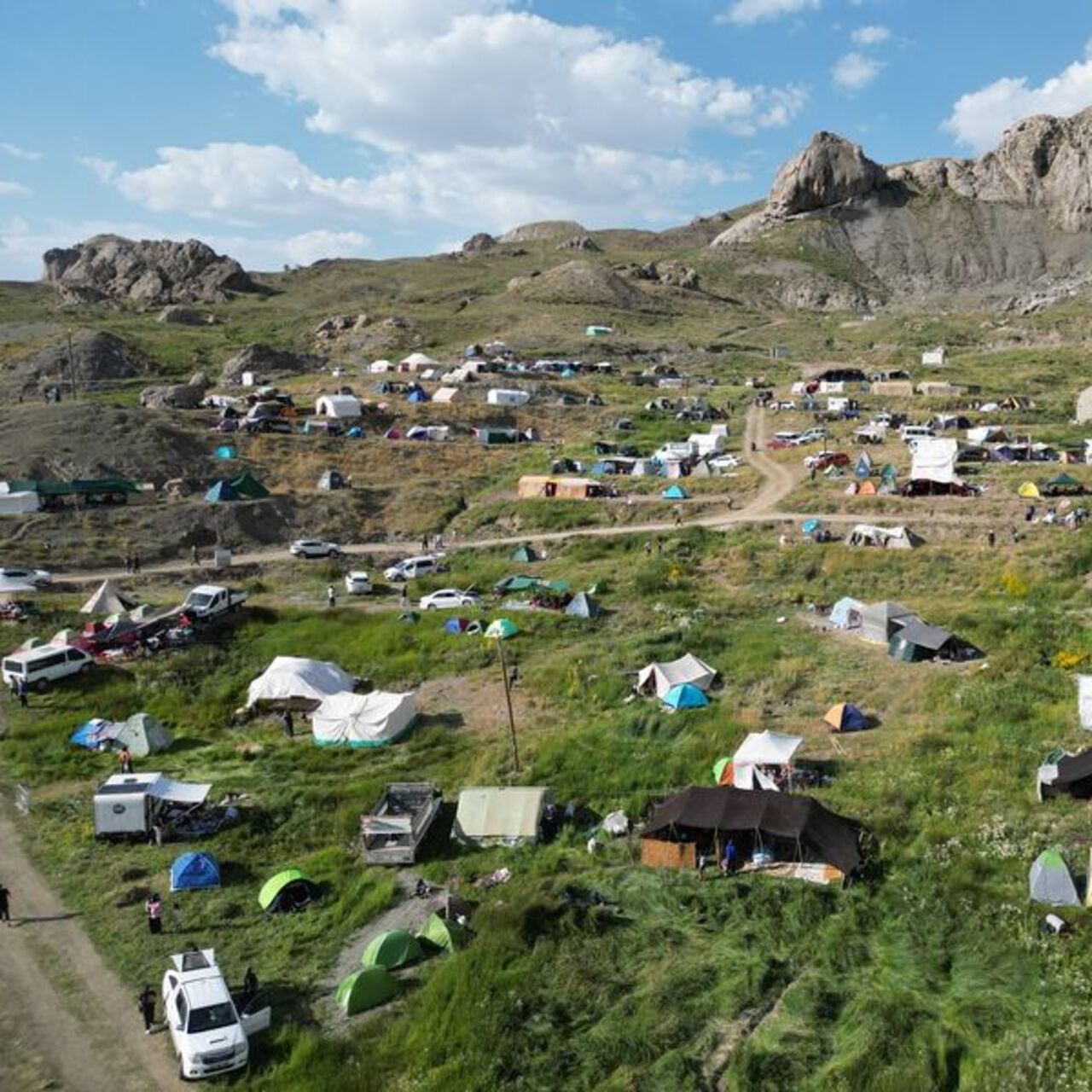 Şırnak'ta kuzu kırkma festivali başladı