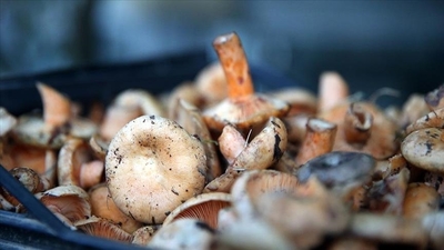 Dikkat! Bilinçsizce tüketimi ölüm getiriyor