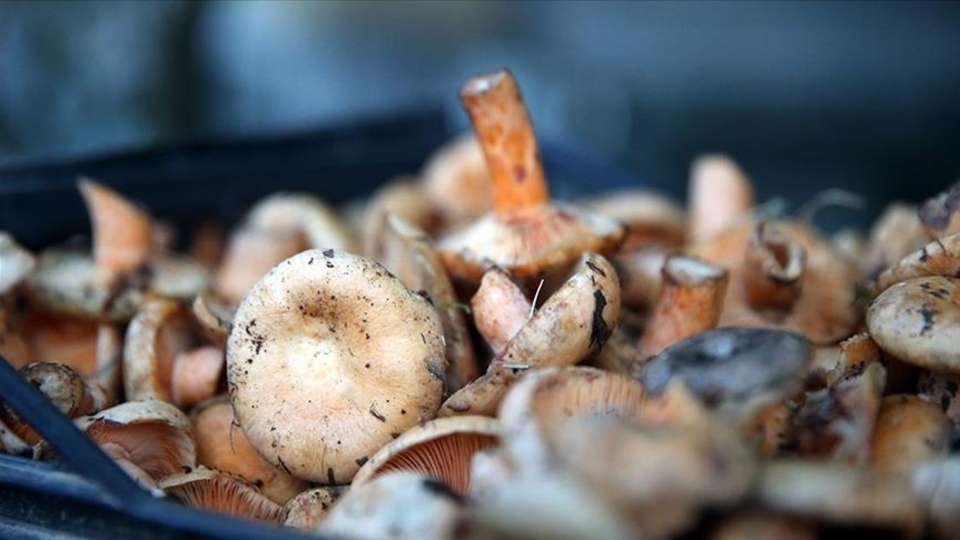 Dikkat! Bilinçsizce tüketimi ölüm getiriyor