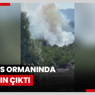 Aydos Ormanında yangın çıktı