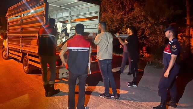 Şap karantinasındaki köyden hayvan sevkine ceza