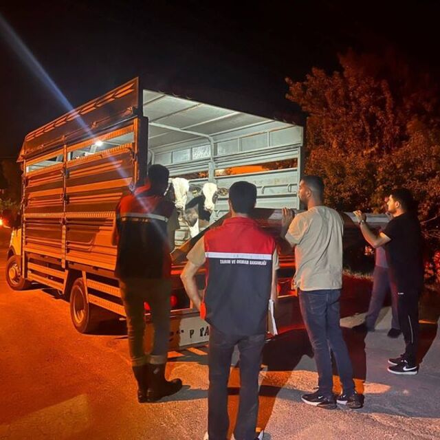 Şap karantinasındaki köyden hayvan sevkine ceza