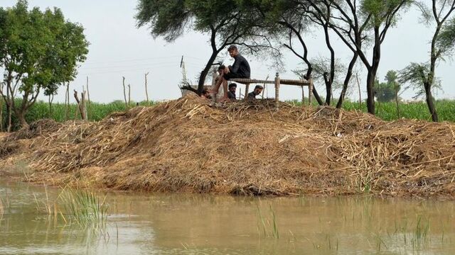 Muson yağmurları 104 can aldı!