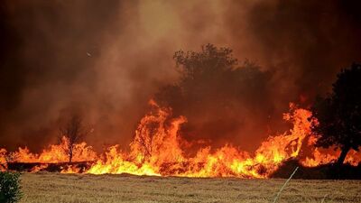 Edirne, İzmir, Bursa ve Balıkesir'de orman yangını