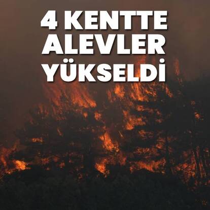 Edirne, İzmir, Bursa ve Balıkesir'de orman yangını