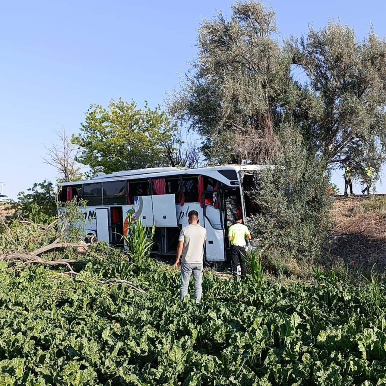 Facianın kıyısından dönüldü!