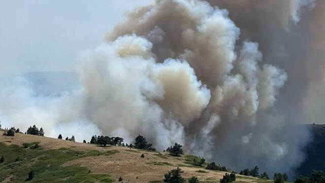Konya ve İzmir'de yangın