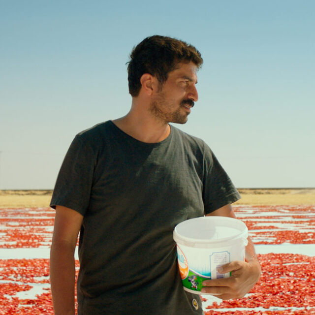 Türkiye'nin Oscar aday adayı belli oldu