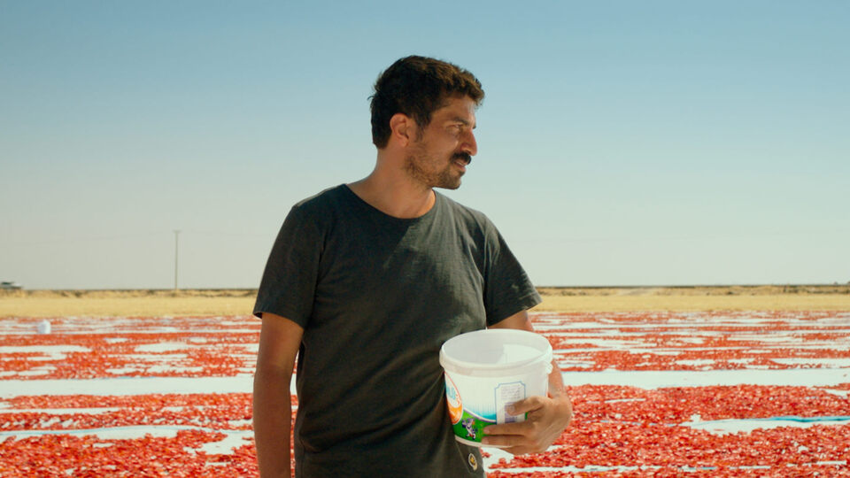 Türkiye'nin Oscar aday adayı belli oldu