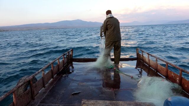 Van Gölü'nde balıkçılar "vira bismillah" dedi