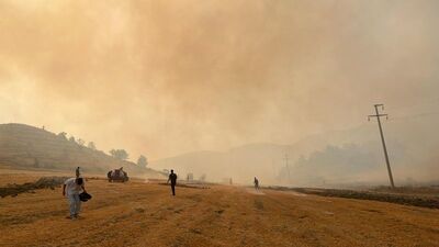 4 kentte orman yangını!