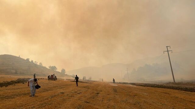 4 kentte orman yangını!