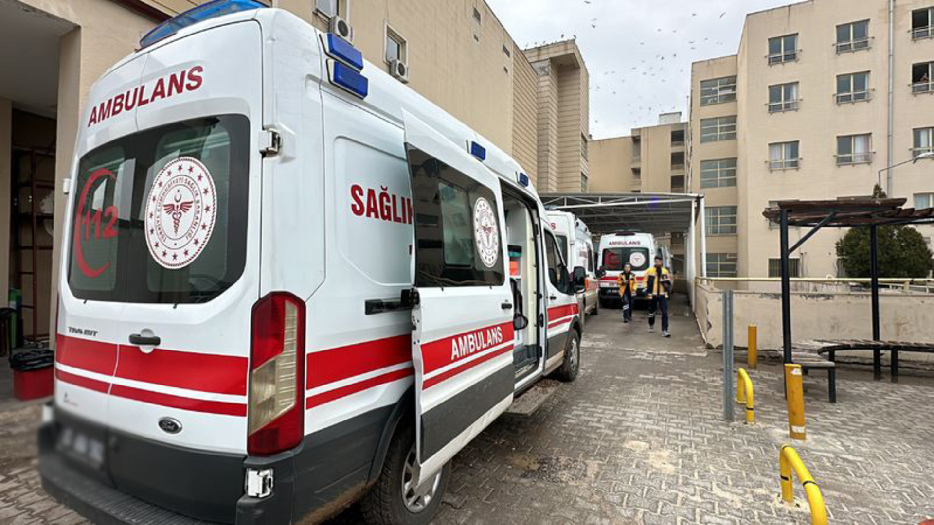 Şap Hastalığı Alarmı: Bu Yıl Görülen Vakalar Daha Ölümcül!