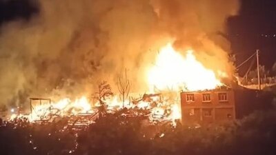 Bolu'da köyde büyük yangın! Evler küle döndü, hayvanlar öldü