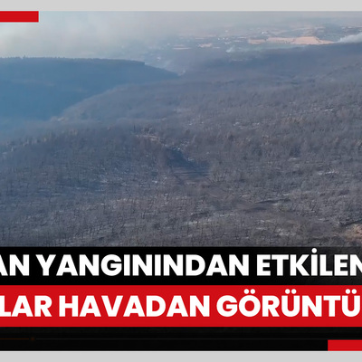 Orman yangınından etkilenen alanlar havadan görüntülendi