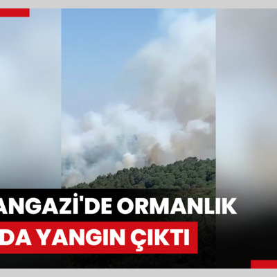 Sultangazi'de ormanlık alanda yangın çıktı