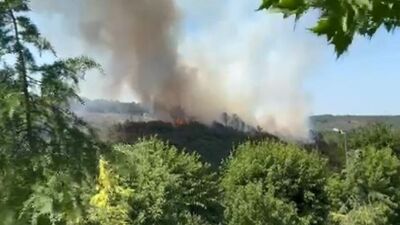 İstanbul'da orman yangını!