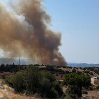 Tekirdağ, Çanakkale, Bolu, Balıkesir ve Muğla'da yangın