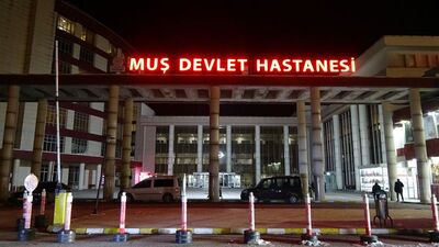 Bir kene vakası daha