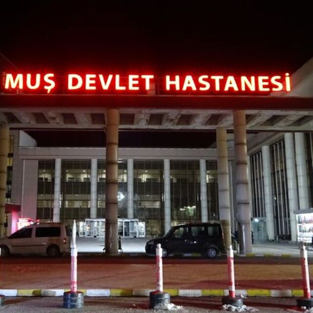 Bir kene vakası daha