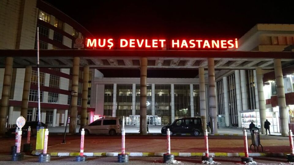 Bir kene vakası daha