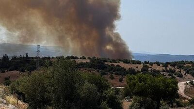 Tekirdağ, Çanakkale ve Balıkesir'de orman yangını!