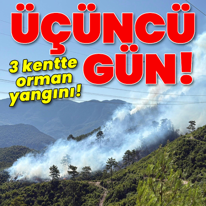 Tekirdağ, Çanakkale ve Balıkesir'de orman yangını!