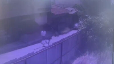 Lazerle bulundu! Ateş talimi can aldı