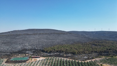 Şarköy yangınından geriye kalan...