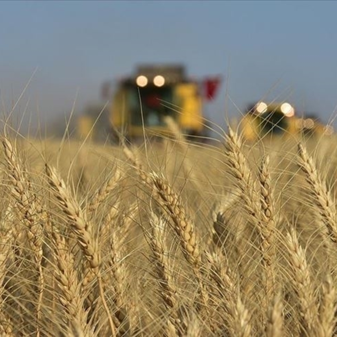 Tarım ÜFE haziranda yüzde 18,82 arttı